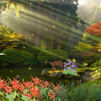 Fantasy Forest Video Wallpaper - Apps on Google Play