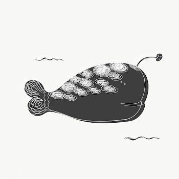 Fantasy whale drawing vector | Free stock vector - 47043