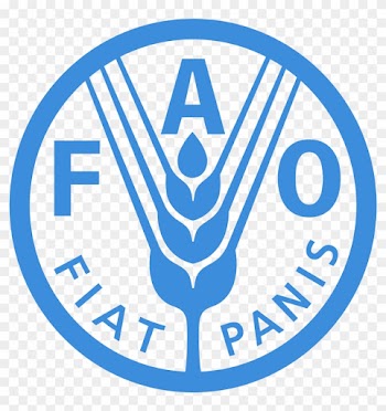 Fao - Food And Agriculture Organization Of The United Nations