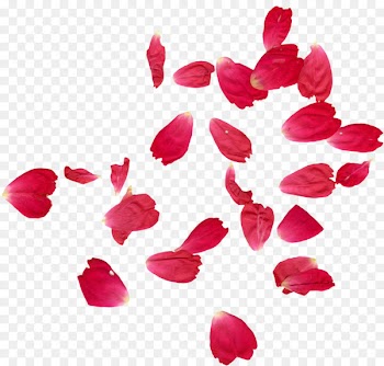 Faridabad Petal Rose Flower Henna - Falling rose petals 