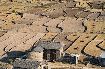 Farm areas in Chainpur, Bajhang | Free Photo - rawpixel