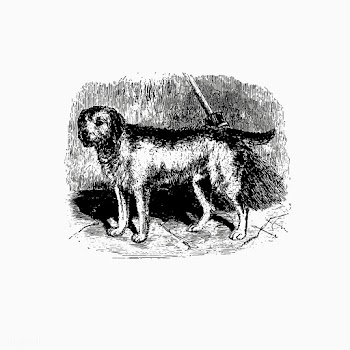 Farm dog | Free stock vector - 572627