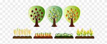 Farm, Field, Plantation, Tree, Vegetable, Apple - Scrapbook Trees