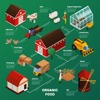 Farm food production flowchart Free Vector