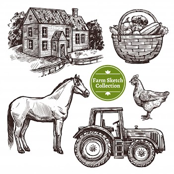 Farm hand drawn sketch set Free Vector