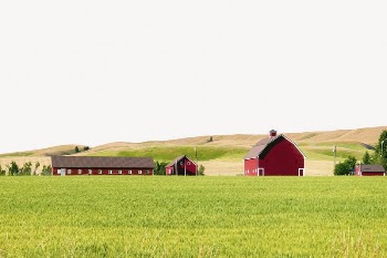 Farm landscape collage element psd | Free PSD - rawpixel