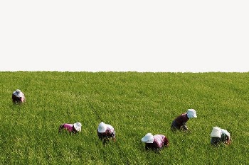 Farm landscape collage element psd | Free PSD - rawpixel