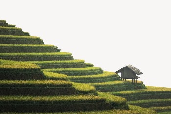 Farm landscape collage element psd | Free PSD - rawpixel