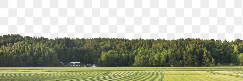 Farm landscape png, transparent background | Free PNG - rawpixel