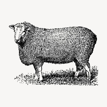 Farm sheep hand drawn clipart, | Free Vector Illustration - rawpixel
