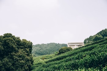 Farmer Fields In Rural China
