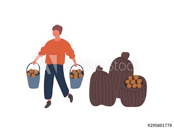 Farmer harvesting potatoes flat vector illustration