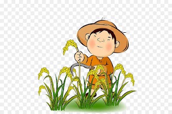 Farmer Rice Agriculture Harvest Clip art - The farmer who receives the wheat 