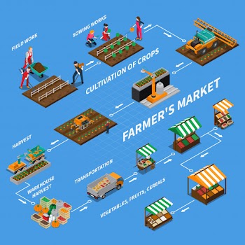 Farmers market flowchart concept Free Vector