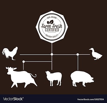 Farming vector image