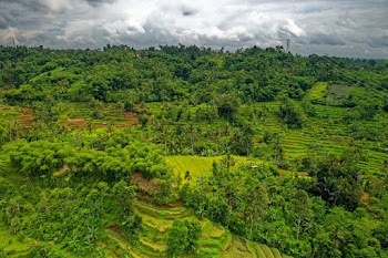 Farmland