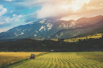 Farmland