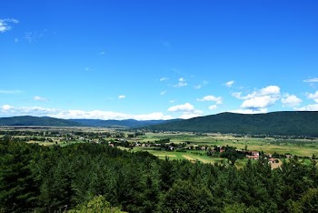 Farmland And Green Hillside Landscape