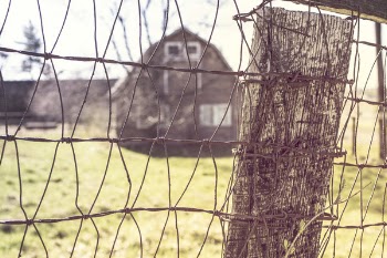 Farn &amp; Barn Free Photo 