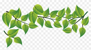 Fashion Fresh Green Leaves Vector 3605*1822 Transprent - Green Leaves Vector Png