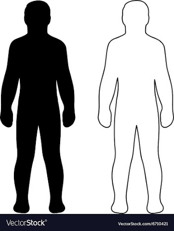 Fashion man full length vector image