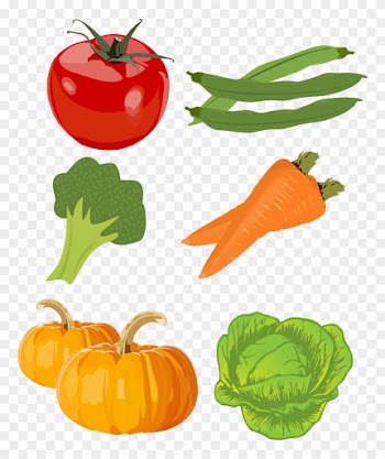 Fast Foods - Food Group