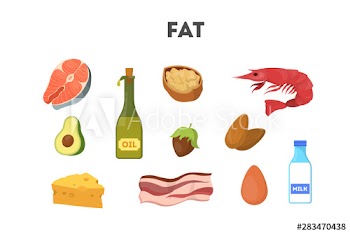 Fat food set
