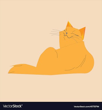 fat ginger cat