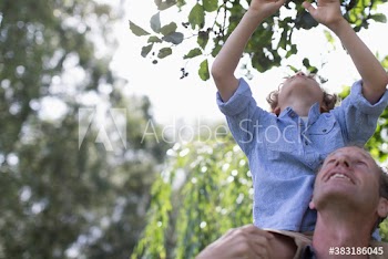 Father with son on shoulders reaching for branch