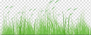 Fathers Day Sales promotion Festival Parent, Cartoon green grass transparent background PNG clipart