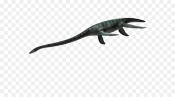 Fauna Dinosaur Fish Animal Action & Toy Figures -  