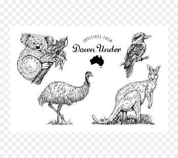Fauna of Australia Chicken Koala Postage Stamps - Australia 