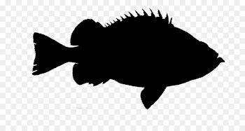 Fauna Silhouette Font Fish Black M -  