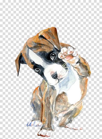 Fawn boxer puppy painting, Boxer Watercolor painting Oil painting Drawing, Hello puppy transparent background PNG clipart
