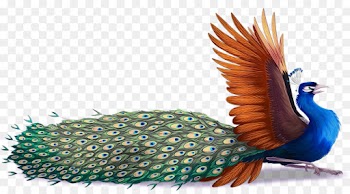 Feather