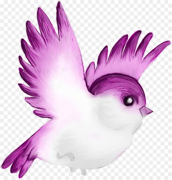 Feather