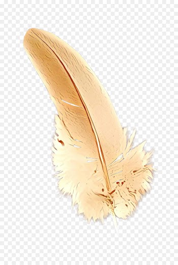 Feather