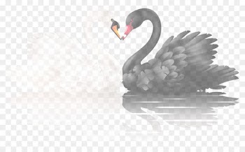 Feather