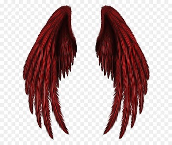 Feather