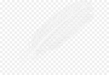 Feather Arrow Point - Feather PNG 