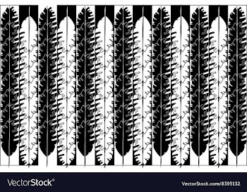 Feather Background vector image