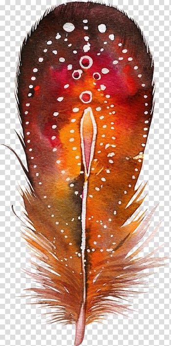 Feather Bird Color Drawing Painting, feather transparent background PNG clipart
