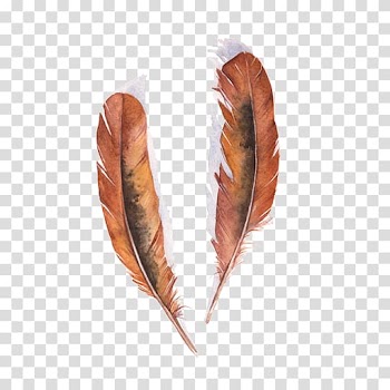 Feather Bird Watercolor painting Art, arts feather transparent background PNG clipart