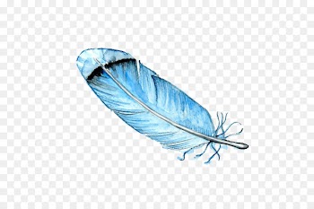 Feather Bird Watercolor painting Drawing - Blue Feather 