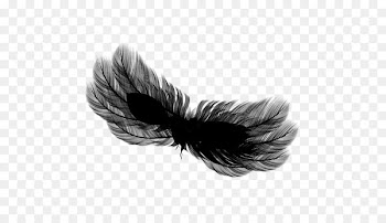 Feather Black M -  