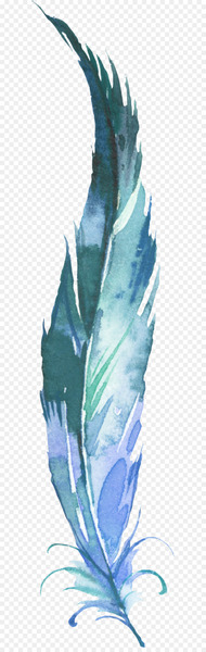 Feather Clip art - Hand-painted feathers 
