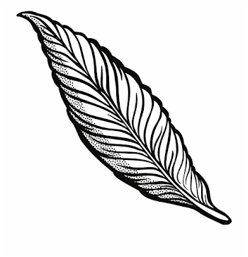 Feather Clipart Png - Feather Clipart Transparent Background Free ...