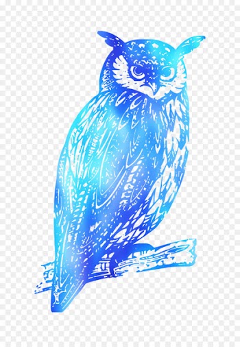 Feather Cobalt blue Beak -  