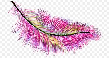 Feather Color Peafowl - Small colored feathers 