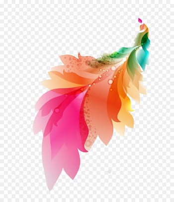 Feather Color - Spring beautiful romantic dream color feathers Mother's Day 